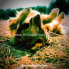 Download track Excellent Ambience For Training Dogs