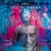 Download track Digital Karma