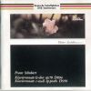 Download track Piano Sonata No. 19 In C Minor, D. 958, 4. Allegro