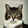 Download track Subtle Moods For Cute Cats