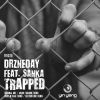 Download track Trapped (Arian Faraone Remix)