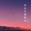 Download track 你从不曾离开