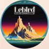 Download track Garonor (Lebird Remix)