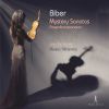 Download track 02 Mystery Sonatas- Sonata No. 2, The Visitation