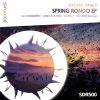 Download track Spring Rondo (Elissandro Remix)