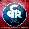 Download track Into The Darkness (Original Mix)