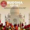 Download track Servus Mr. Bond (Sao Delhi Tandoorinha Mix)