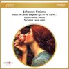 Download track Sonata For Clarinet And Piano In E-Flat Major, Op. 120, No. 2: II. Allegro Appassionato