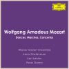 Download track Mozart Andante For Flute And Orchestra In C, K. 315