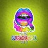 Download track Guarachita Pa Los Pasos Prohibidos