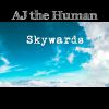 Download track Skywards