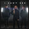 Download track I Can't See (Acoustic Version)