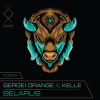 Download track Belarus (Original Mix)