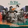 Download track Huapango Tempestad / Botas Picudas / Arreando La Mula