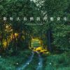 Download track 大自然静心氛围 (舒缓纯音乐)