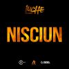 Download track Nisciun