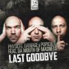 Download track Last Goodbye (Original Mix)