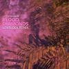 Download track Blood Diamonds (Lovelock Remix)