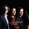 Download track Piano Trio In D Major, Op. 70 No. 1: I. Allegro Vivace E Con Brio