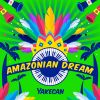 Download track Amazonian Dream (Radio Edit)