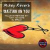 Download track Waiting On You (El Brujo Remix)