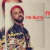 Download track I'm Sorry