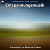 Download track Entspannungsmusik Teil 28