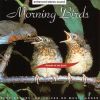 Download track Dawn Chorus