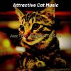 Download track Contemporary Ambience For Training Your Cat