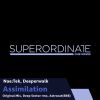 Download track Assimilation (Astrocat (SRB) Rmx)