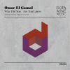 Download track Why Did You (Artfaq Waves Calling Mix)