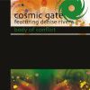 Download track Body Of Conflict (Cosmic Gate Club Mix)