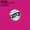 Download track Because Of You (Banana Republic Mix)