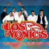 Download track Rosas Blancas (En Vivo)