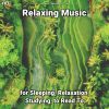 Download track Relaxing Music, Pt. 11