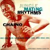 Download track Jungle Crazy Maze Bongo