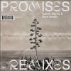 Download track Promises (David Guetta Remix)