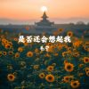 Download track 是否还会想起我 (伴奏)