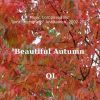 Download track Beautiful Autumn