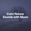 Download track Calm Nature Sounds With Music, Pt. 12