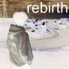 Download track Rebirth (Intro)