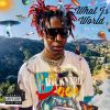 Download track What Is World (Intro)