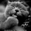 Download track Successful Jazz Guitar Trio - Vibe For Resting Kittens