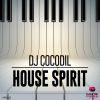 Download track House Spirit (Instrumental Mix)