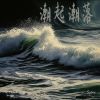 Download track 潮起潮落