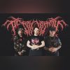 Download track Fixation On The Vermin-Infested