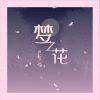 Download track 梦之花