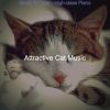 Download track Laid-Back Solo Piano Jazz - Vibe For Kittens