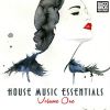 Download track From Da House To House (Wild Pitch Remix)