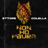 Download track Non Fa Male